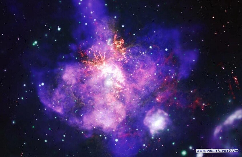 بمناسبة عيد الحب.. ناسا تعرض باقة من آلاف النجوم المزهرة!